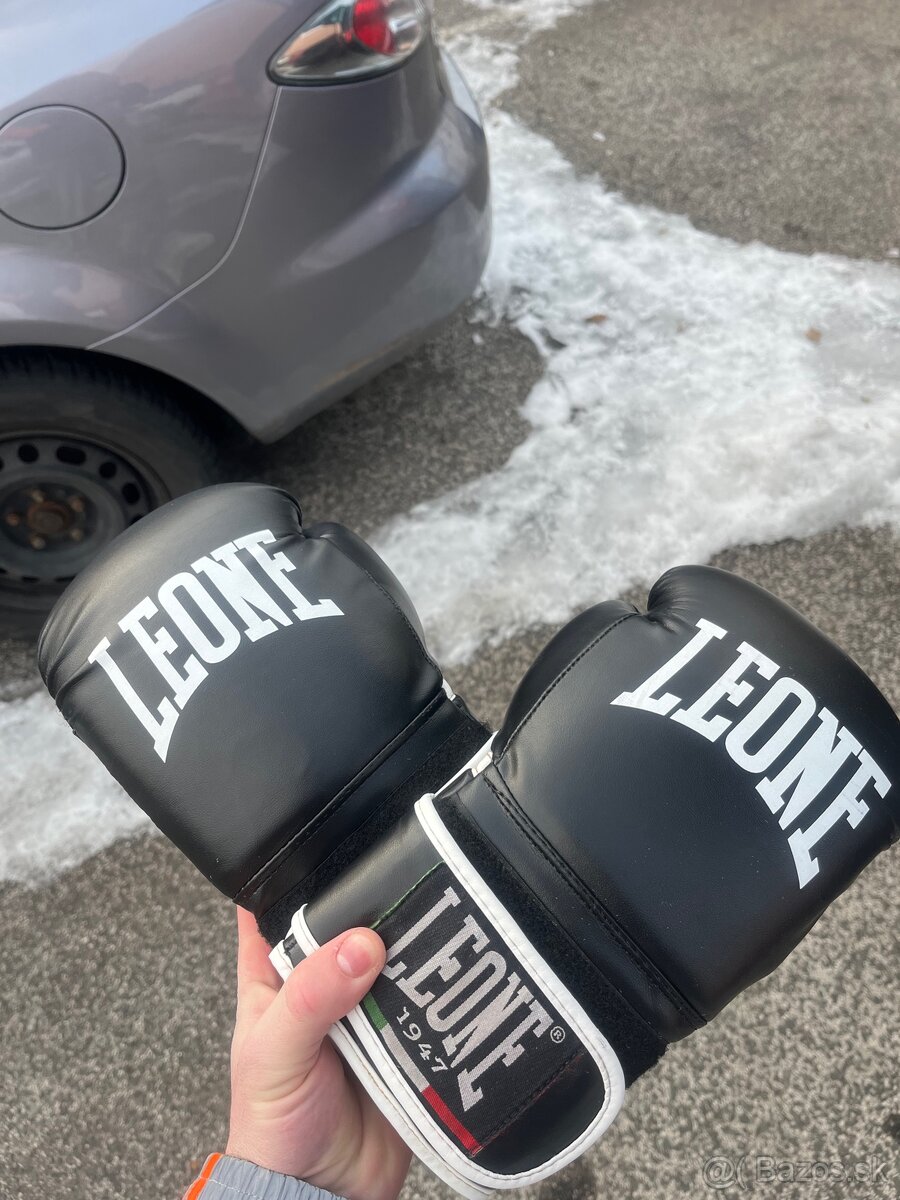 Boxerske rukavice - 2