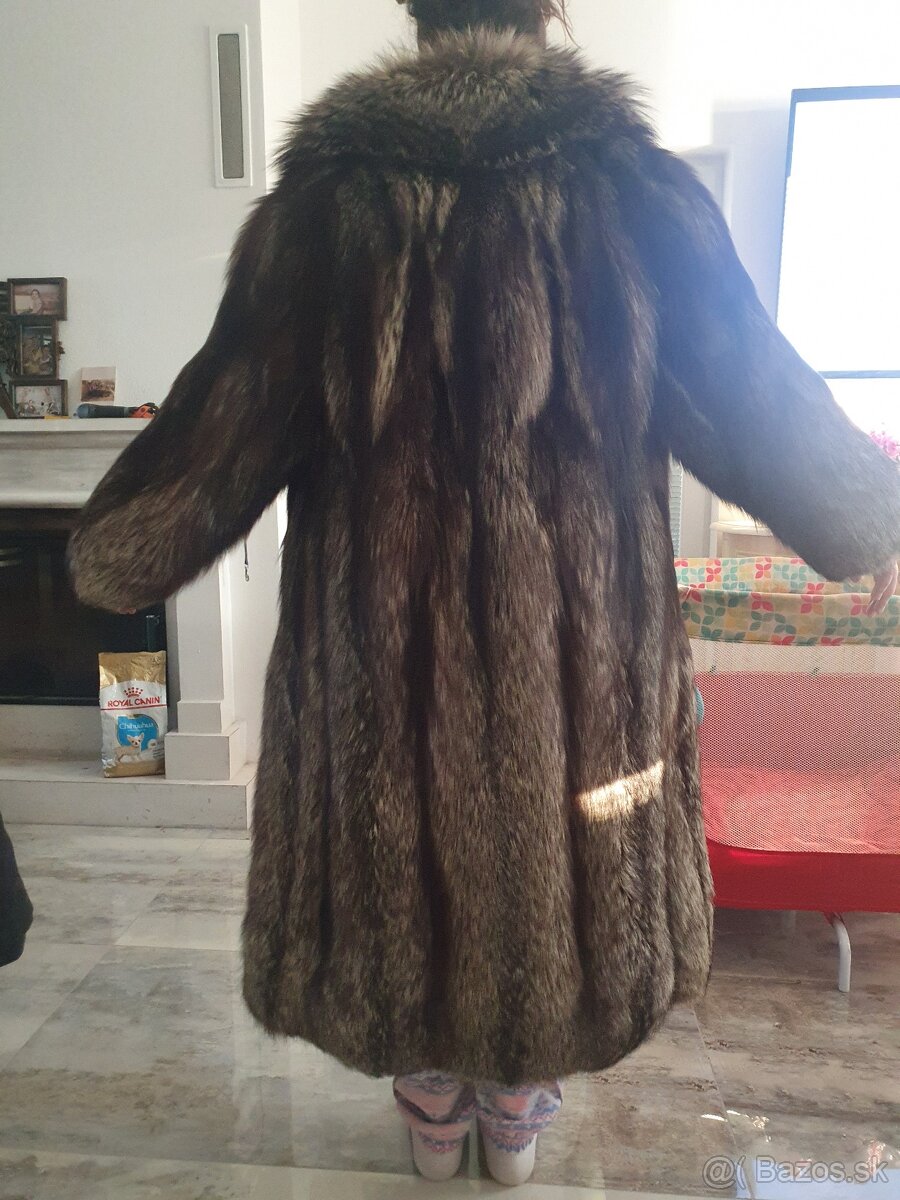 Strieborná liska - 2