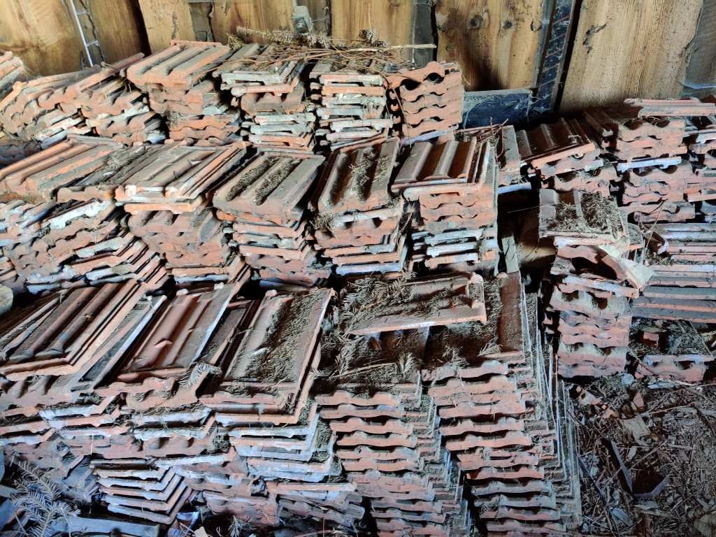 Predam stare skridle - 2