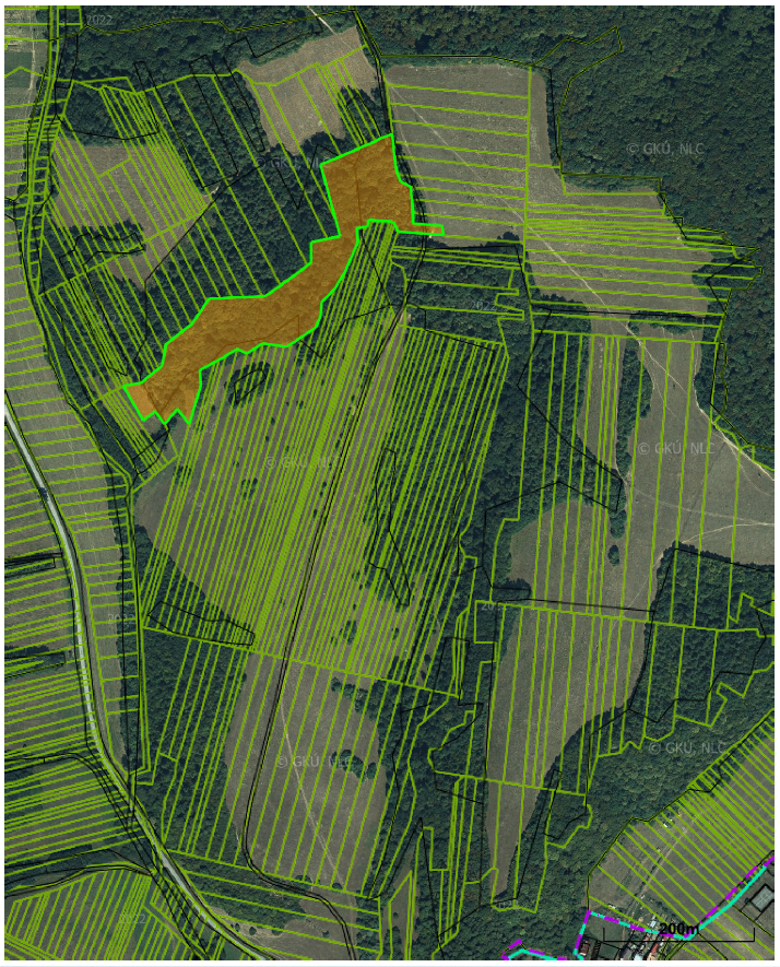 Predám Lesy v obci V. Hrušov (PARCELA E 940) pri Maškovciach - 2
