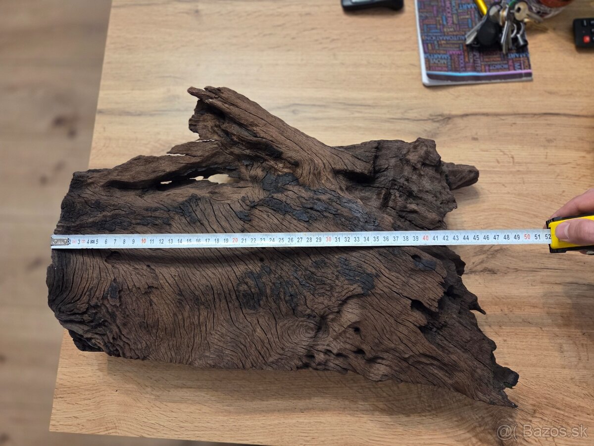 Koreň do akvária - 2