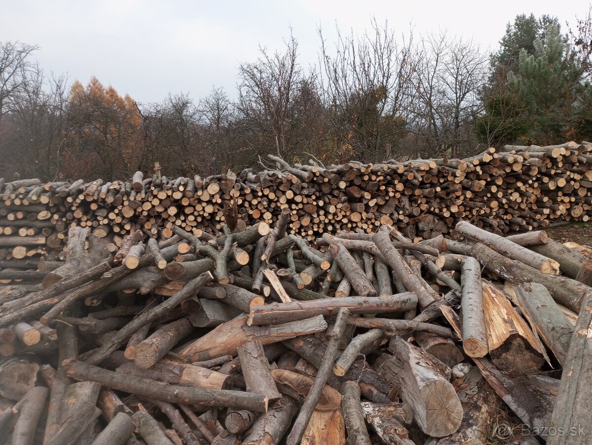 palivové drevo metrovicu buk hrab - 2