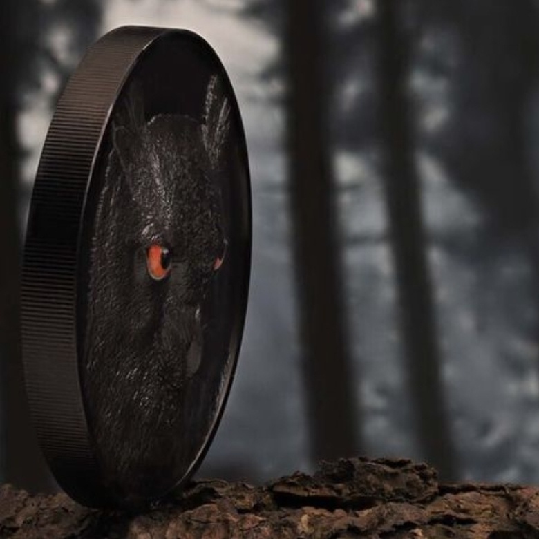 Lovci ORLÍCH SOV v noci 2 Oz 2021 - 2