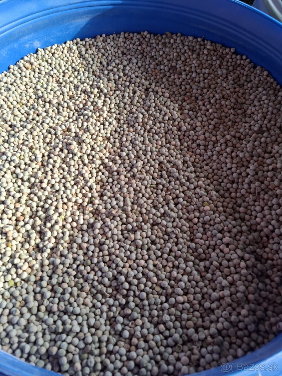 Hrach - 2