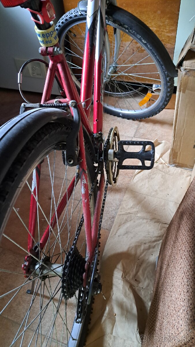 Damsky bicykel - 2