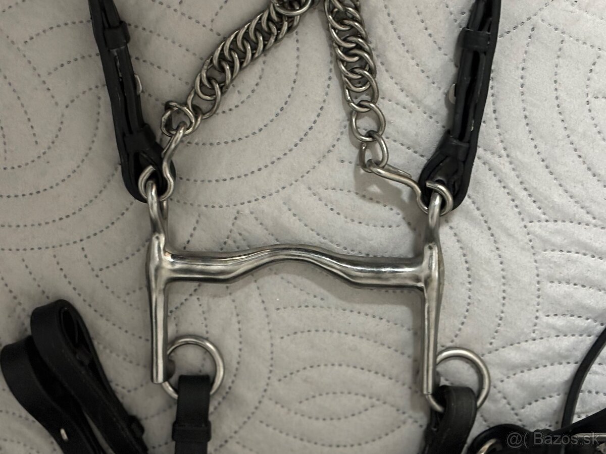 Drezurna uzda a páka 12,5 cm - 2