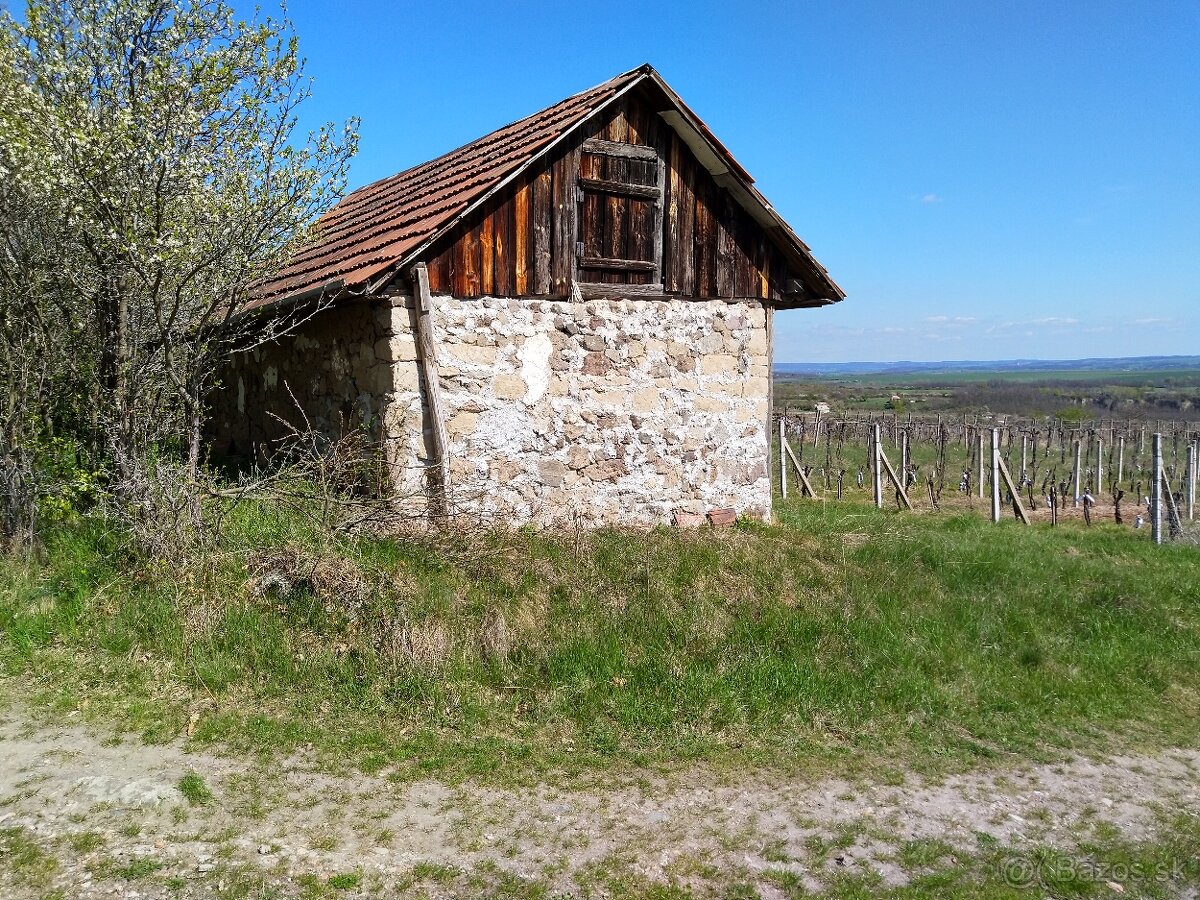 Pozemky - Vinice Čajkov - Sádovské - 2