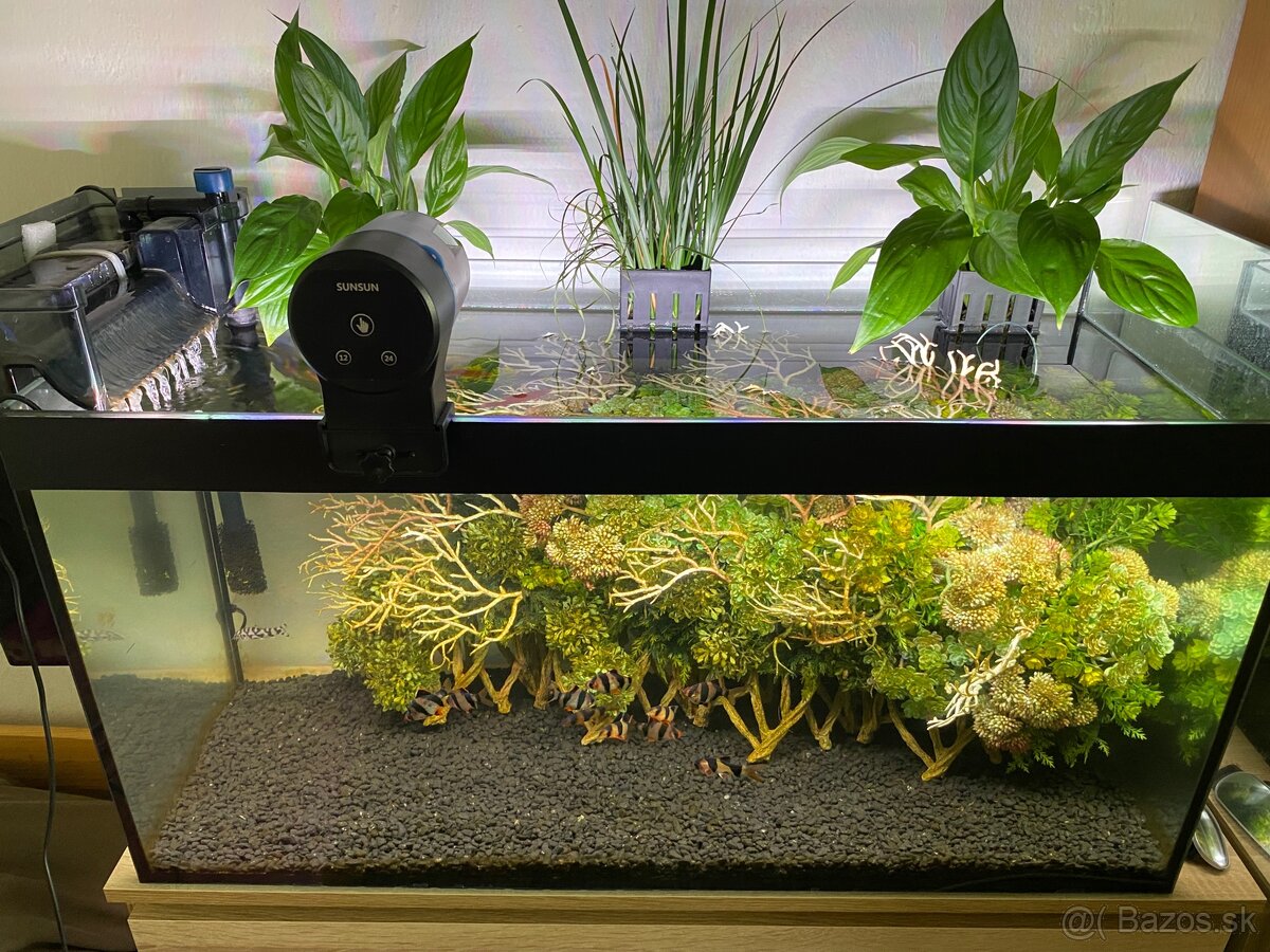 Akvarium 100L - 2