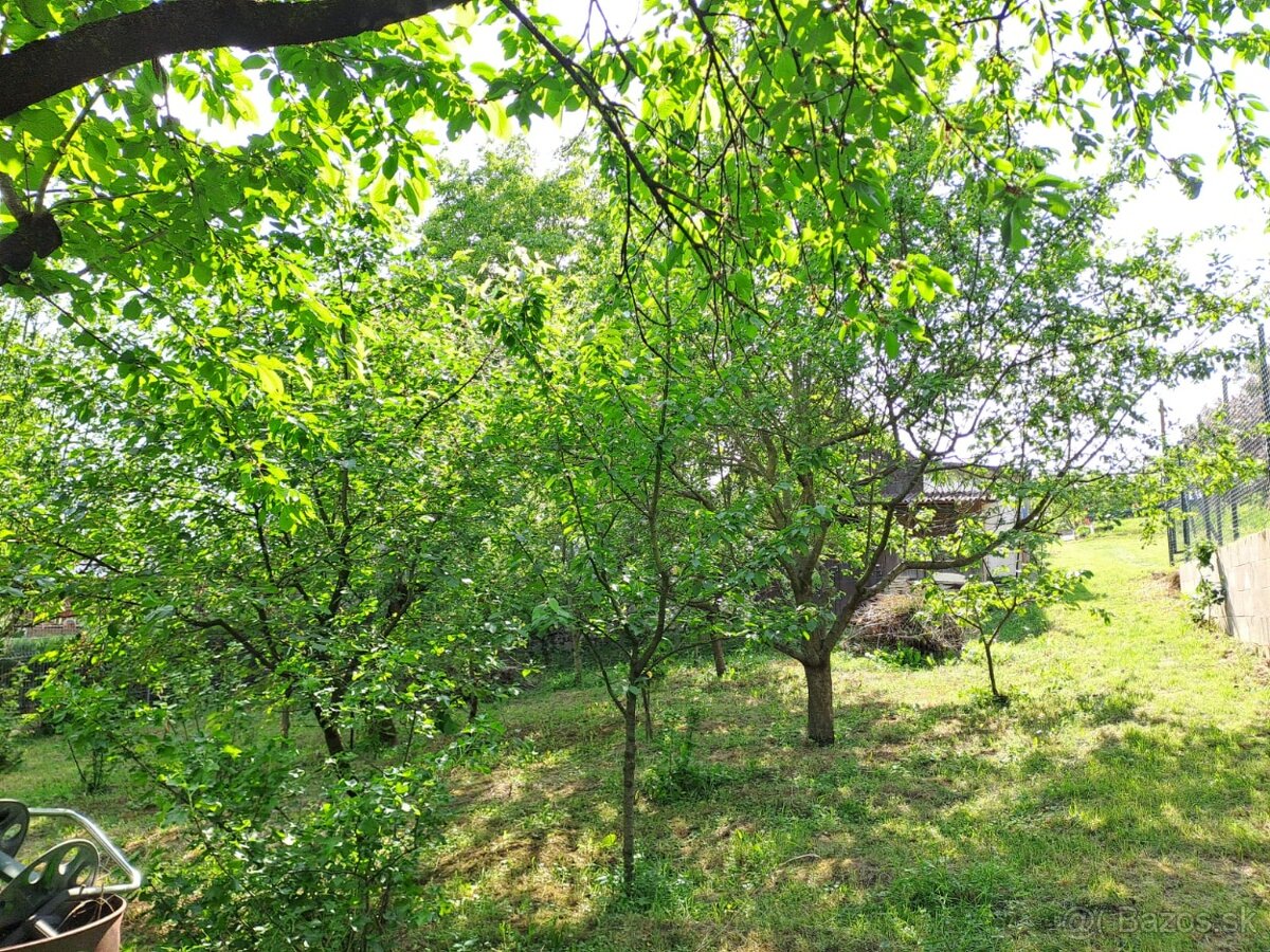 ZÁHRADA S CHATKOU A PIVNICOU pri Piešťanoch - 2