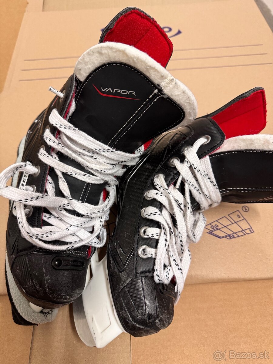 Korčule Bauer v.33,5 - 2