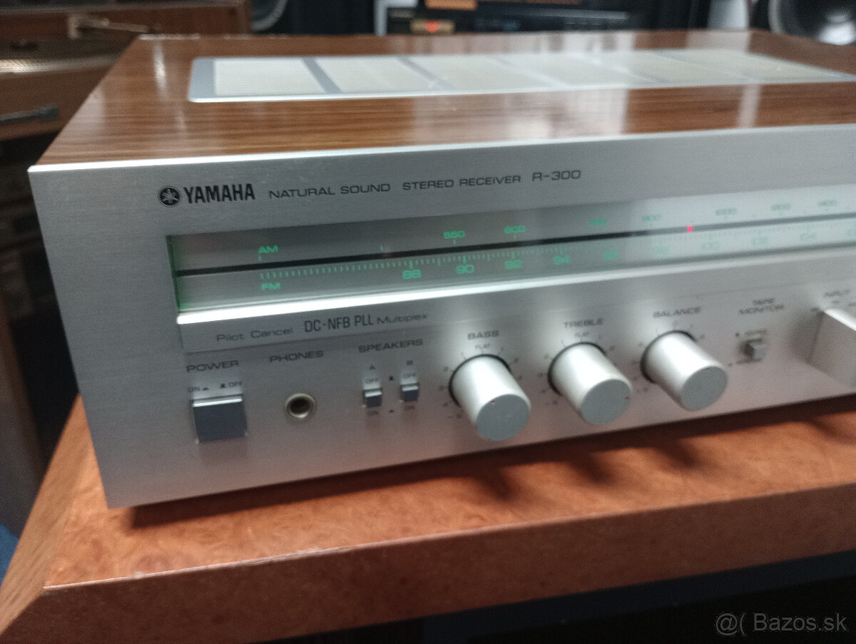 Yamaha R 300 - 2
