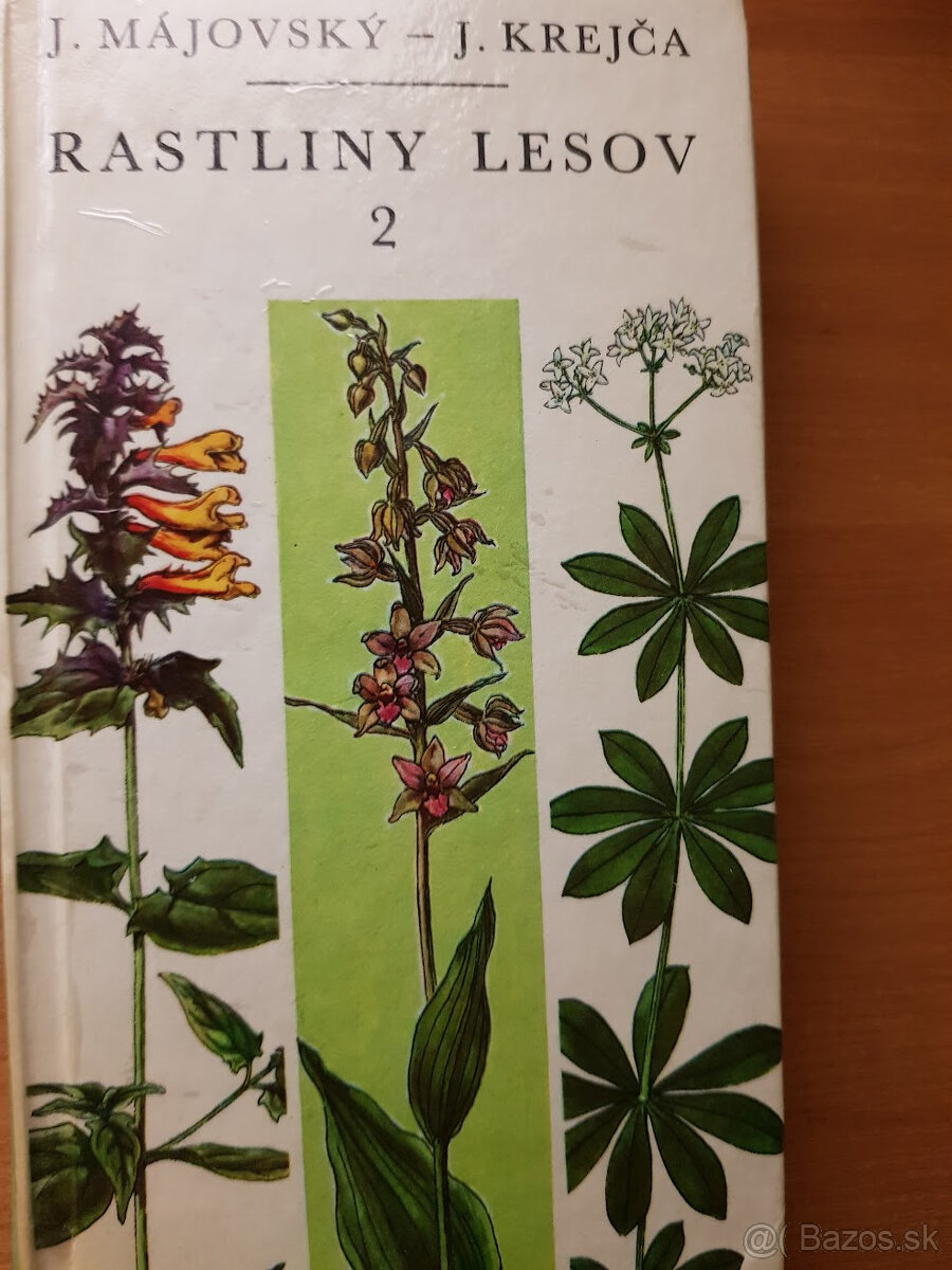 Rastliny lesov 1, Rastliny lesov 2 - 2