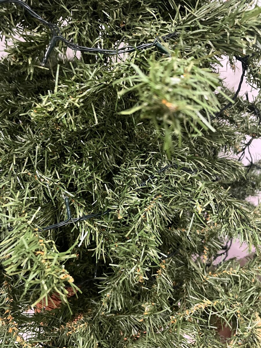 Vianočny stromček darujem - 2