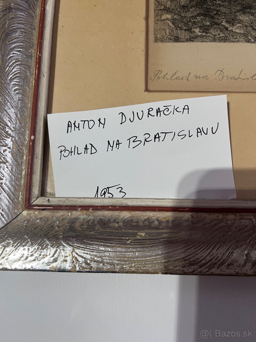 Obraz Pohľad na Bratislavu - 2