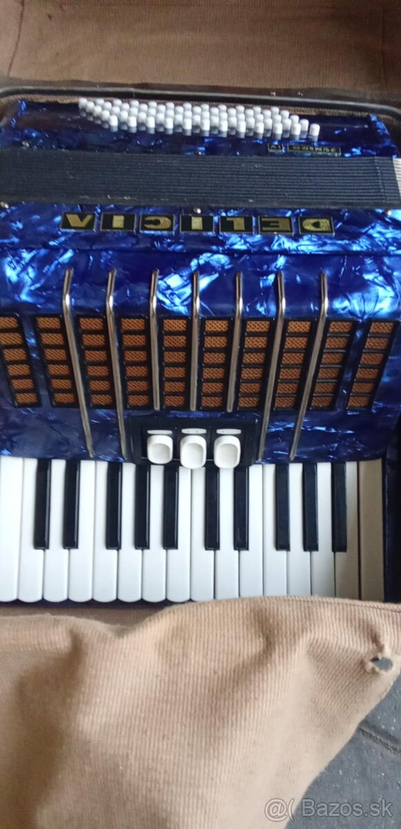 HARMONIKA na predaj DELICIA - 2