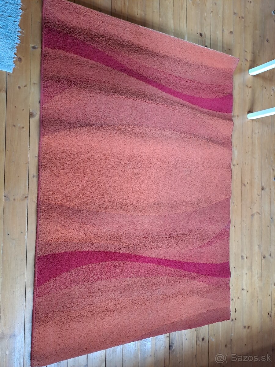 Darujem koberec - 2