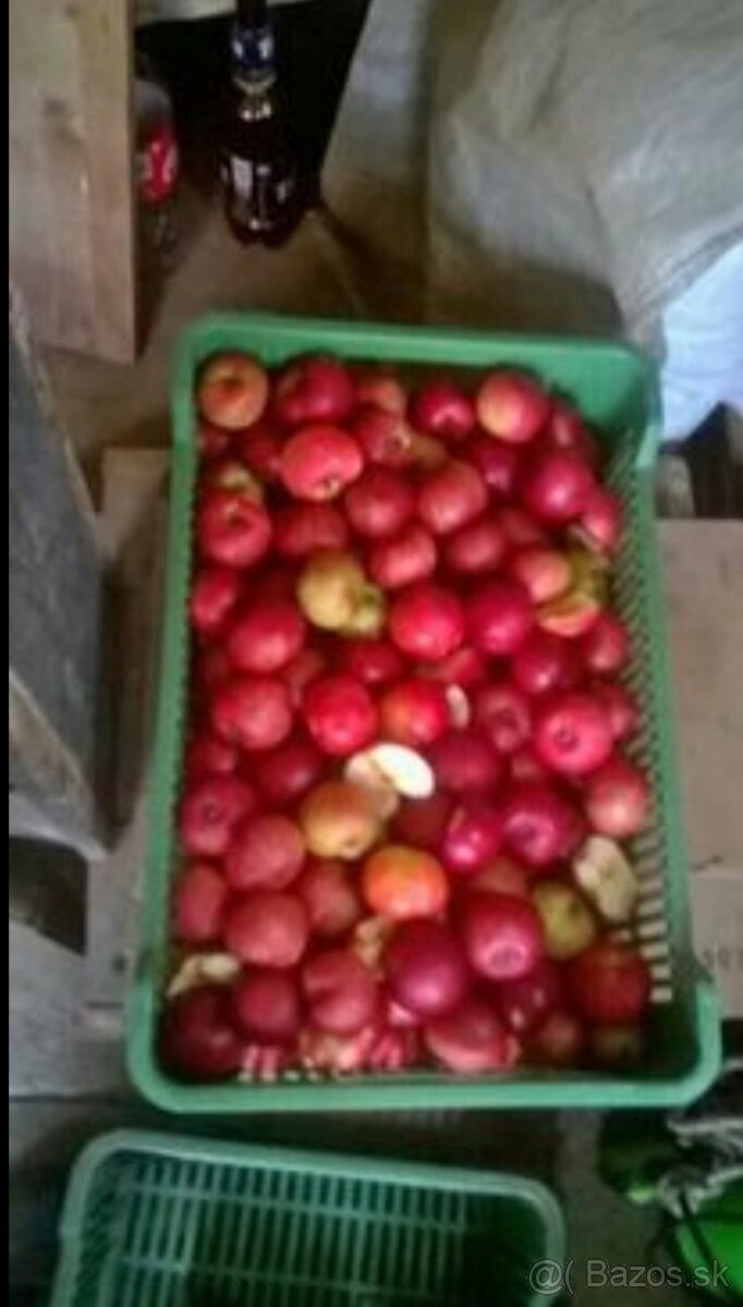 Lisovanie ovocia - jablk - 2