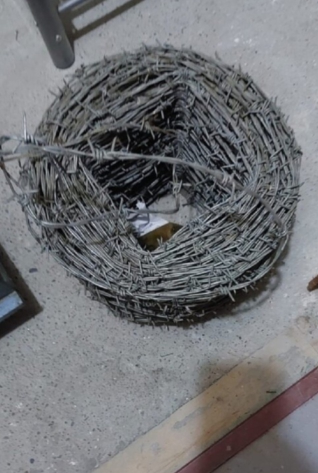 Drôt ostnatý pozinkovaný - 2