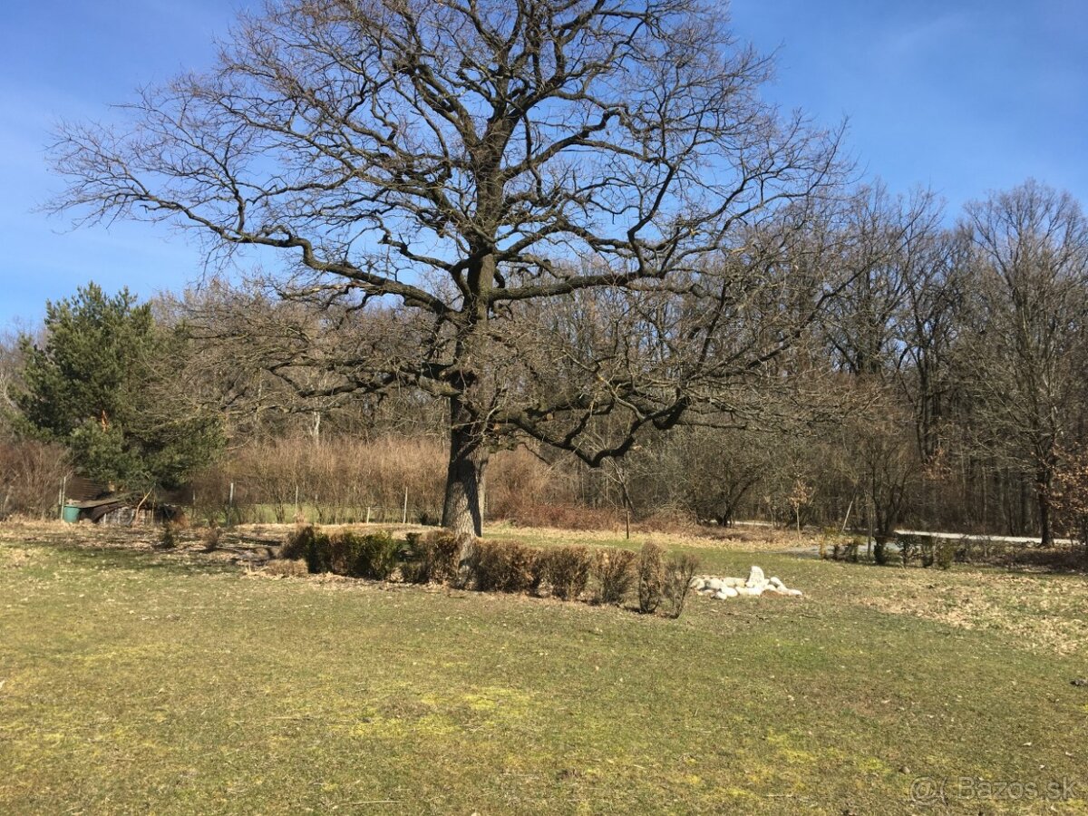 Prenajmem NADHERNY VELKY SLNECNY rovina- pozemok v Teriakov - 2