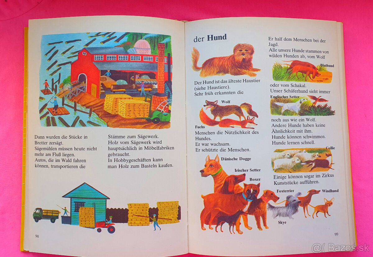 Môj veľký detský lexikon - 2