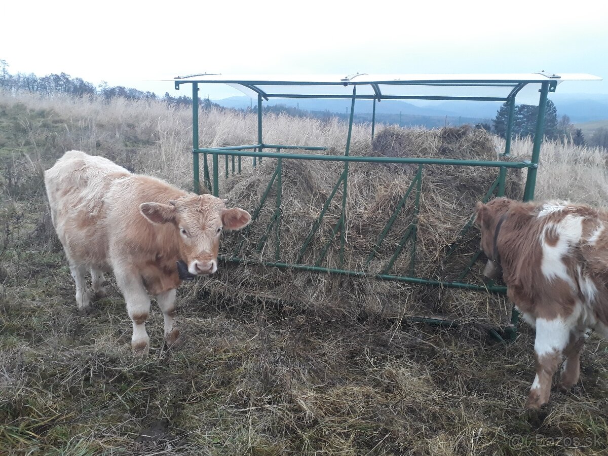 Krmelec pre zvierata - 2