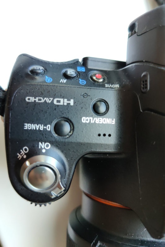 Sony Alpha SLT-A55V + Sony 16-50/2.8 SSM - 2