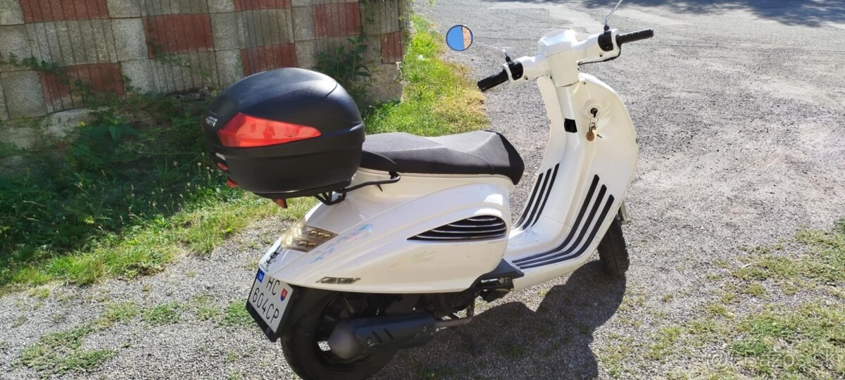 Longjia insetto 125 cm - 2