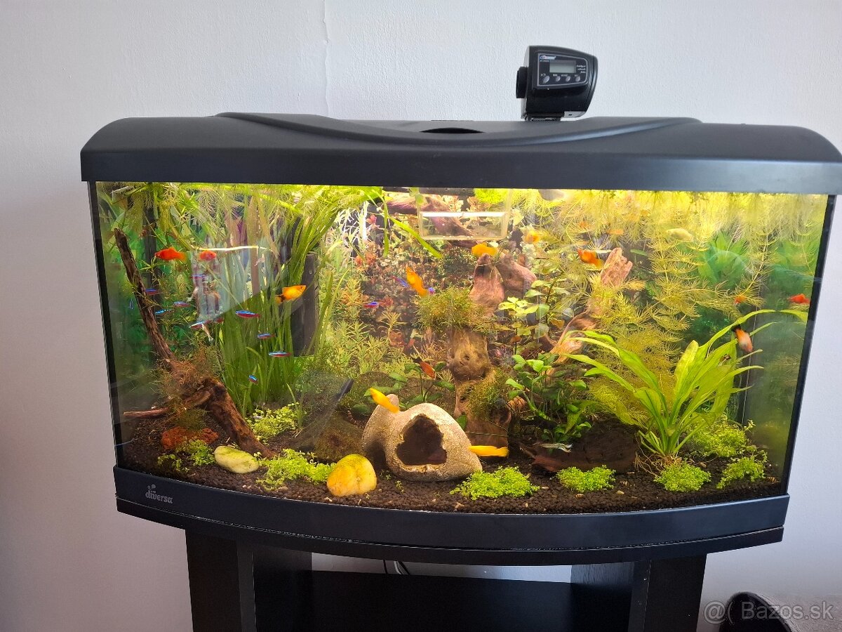 Akvárium Diversa 112l so stolíkom - 2