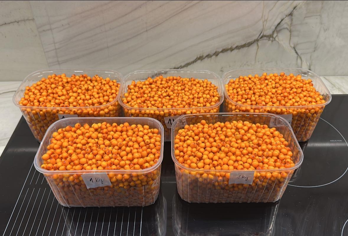 Predám mrazený rakytník - 2