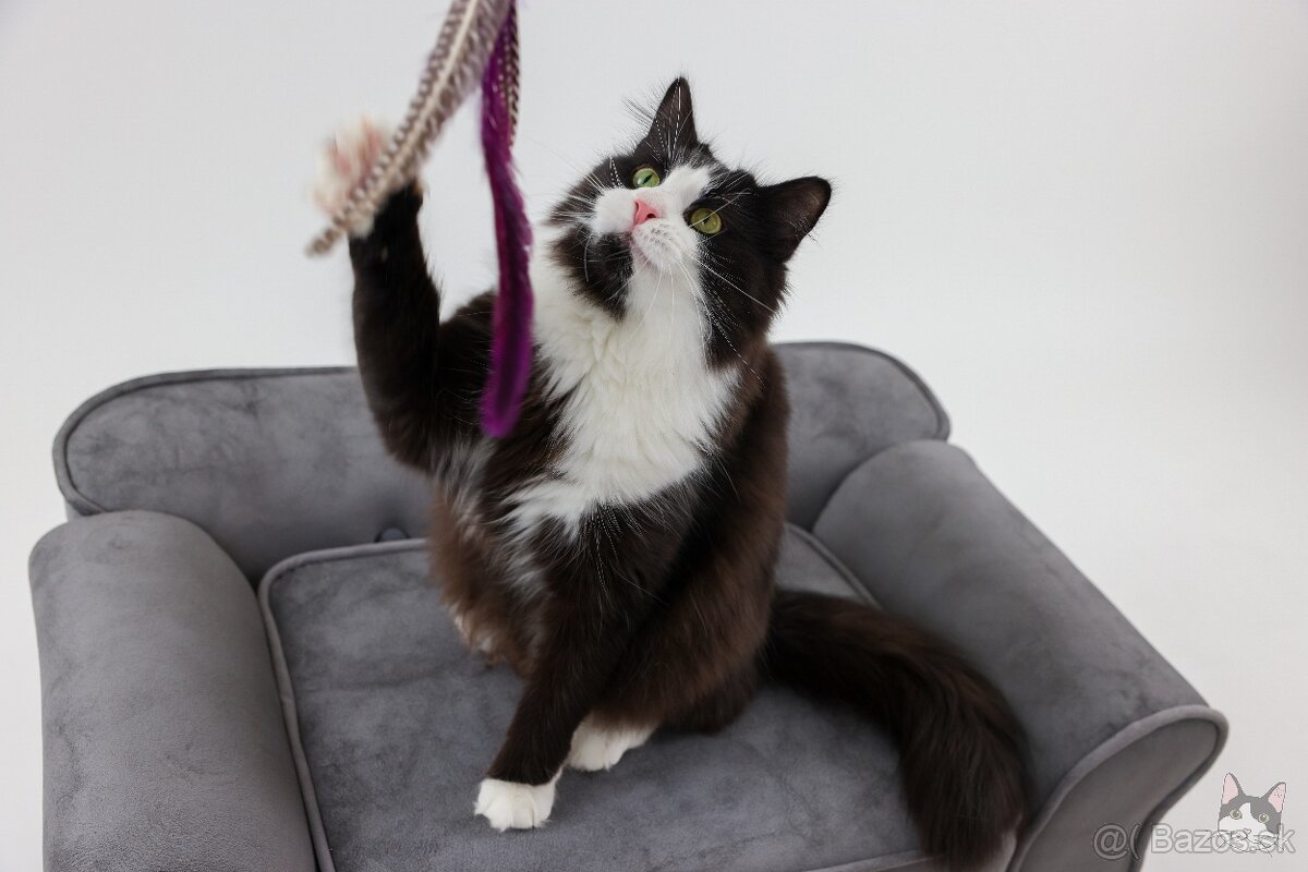 KEVIN hľadá domov - 2