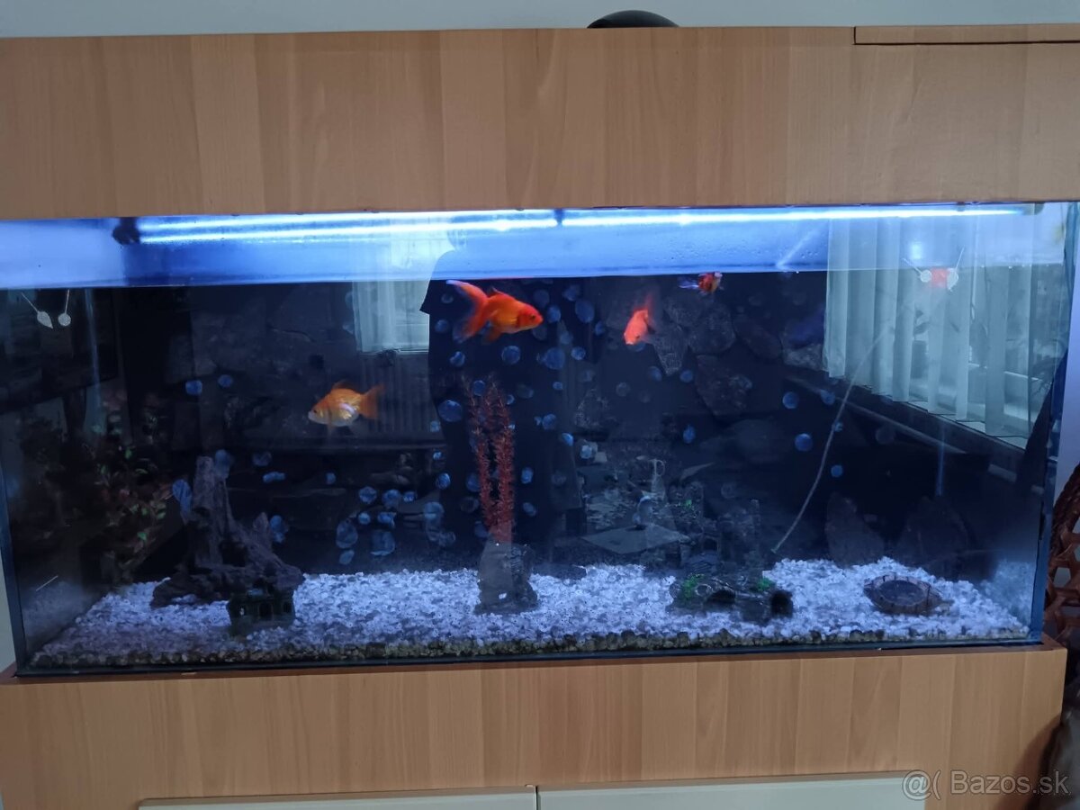 Predám akvárium 320L - 2
