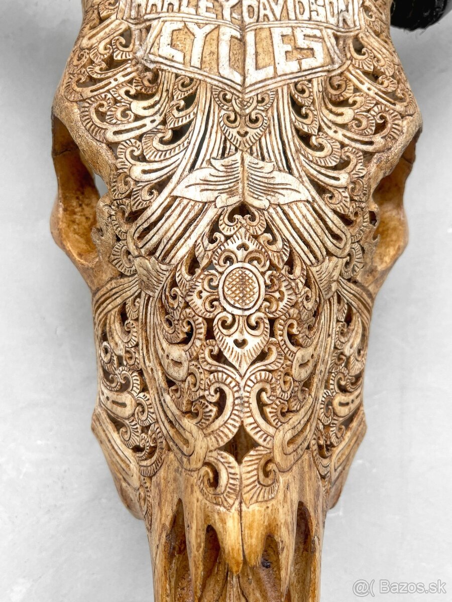 Ručne vyrezávaná lebka býka Harley Davidson, 54cm - 2