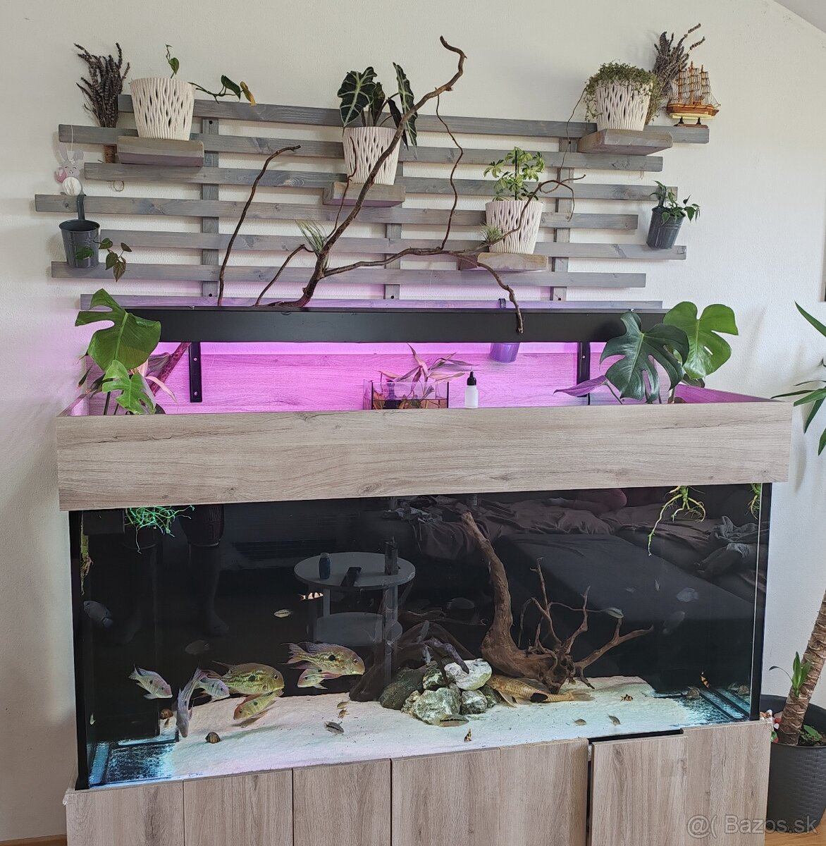 ‼️Akvarium 170x50x70cm‼️ - 2