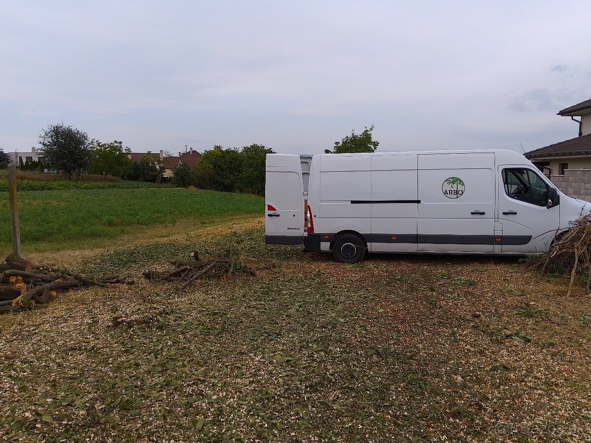 Rez a výrub stromov, arboristika - 2