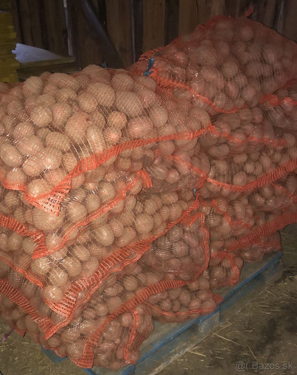 Zemiaky konzumné - 2