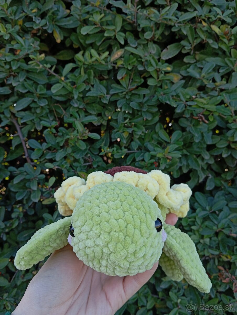 Háčkovaná korytnačka slnečnica - 2