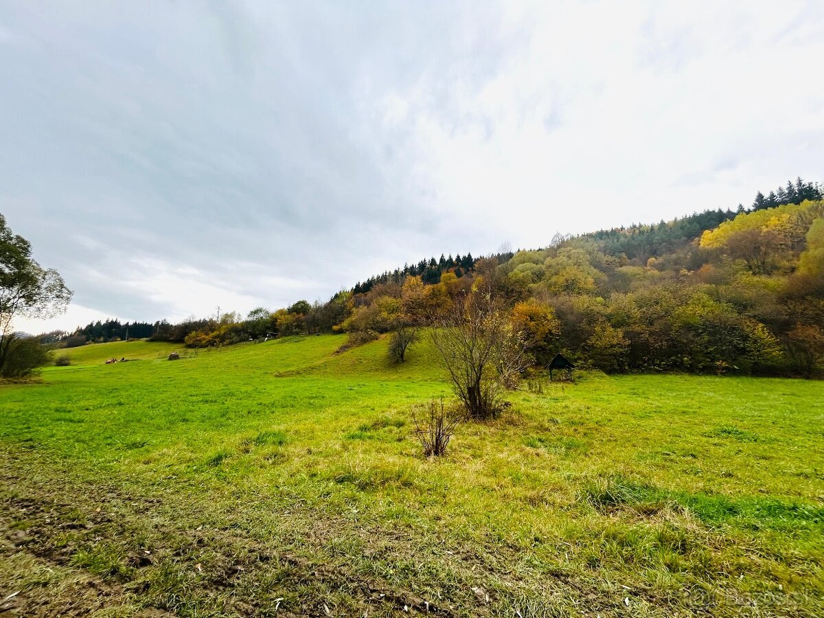 Rekreačný pozemok – Banisko (4101 m²) - 2