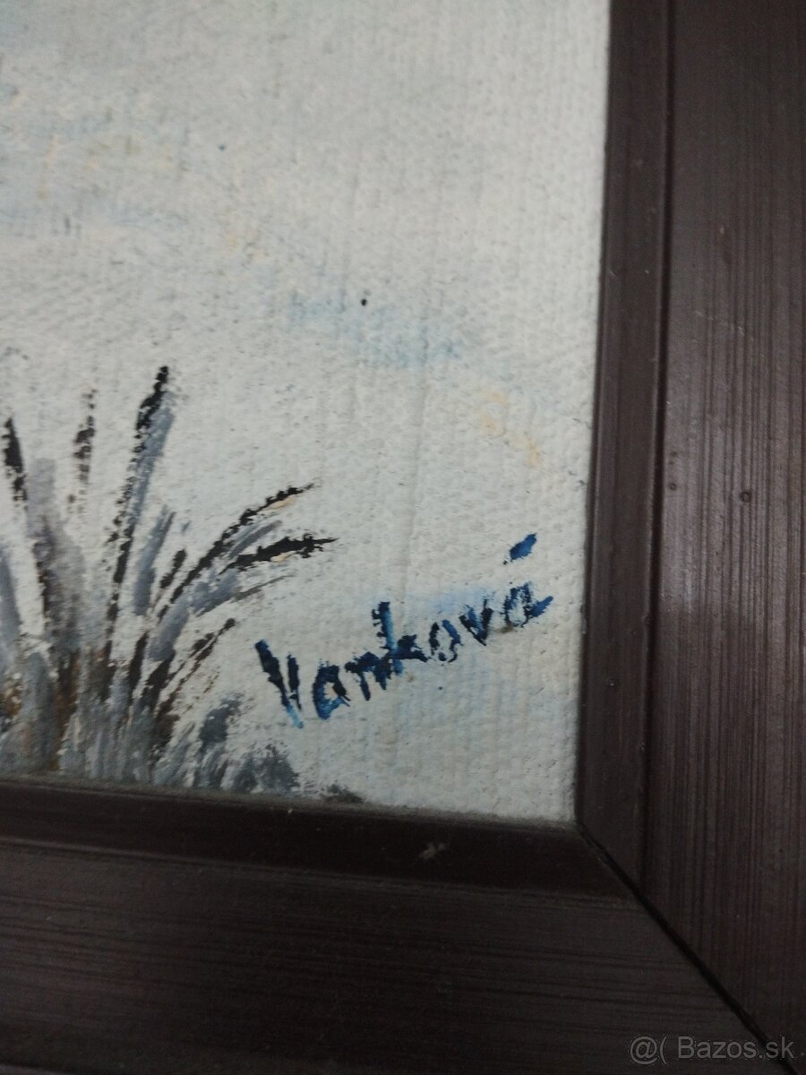 Predám obraz 55x42 cm za 15 eur - 2