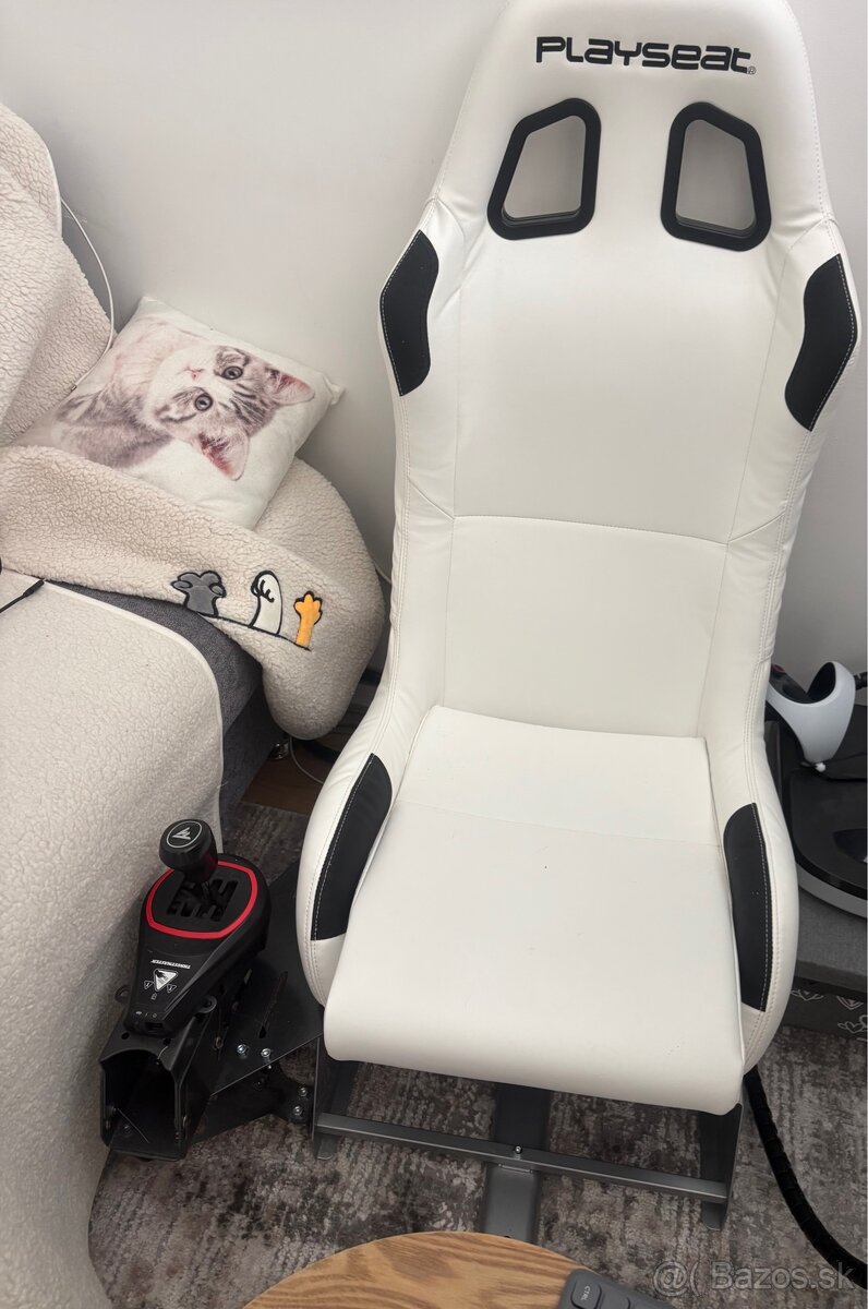 Thrustmaster T300 RS / playseat evolution / wheel stand pro - 2