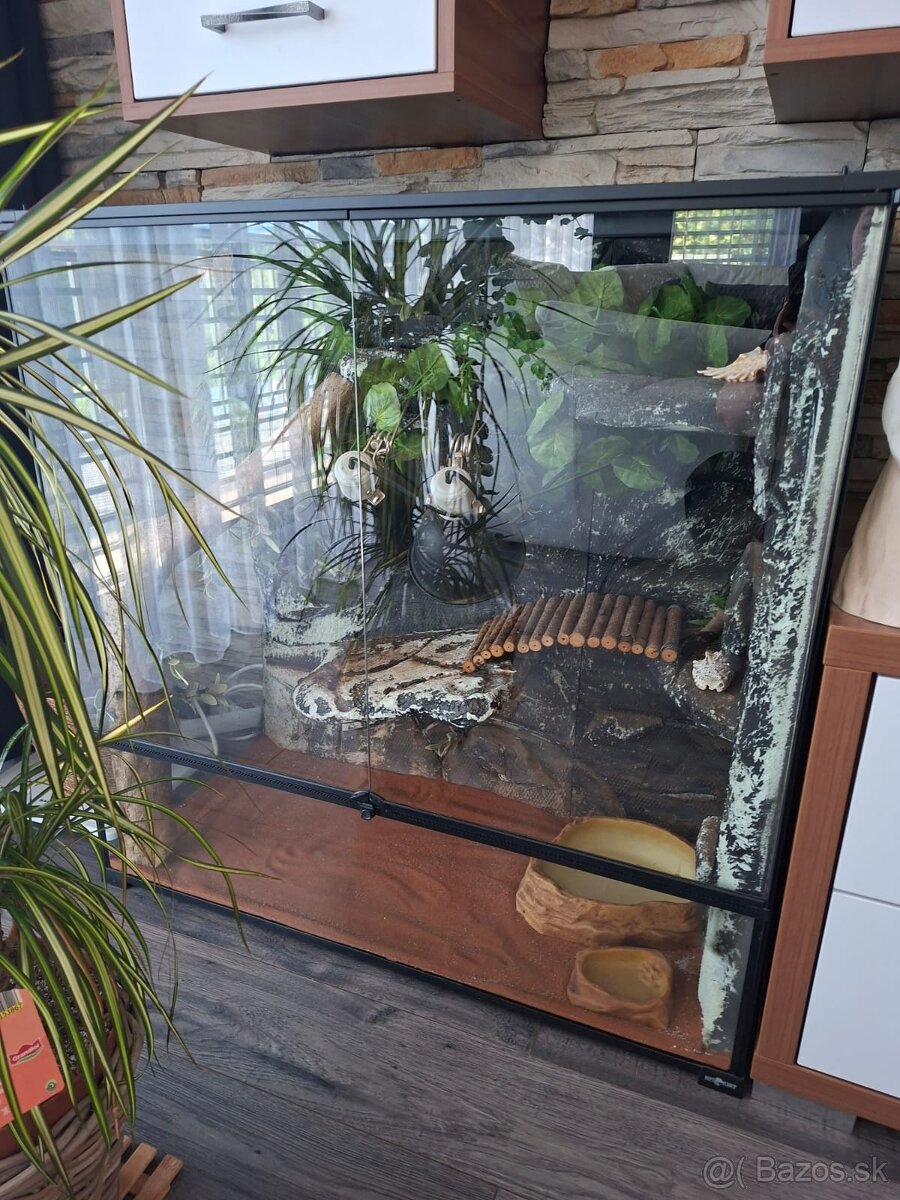 Terárium - 2