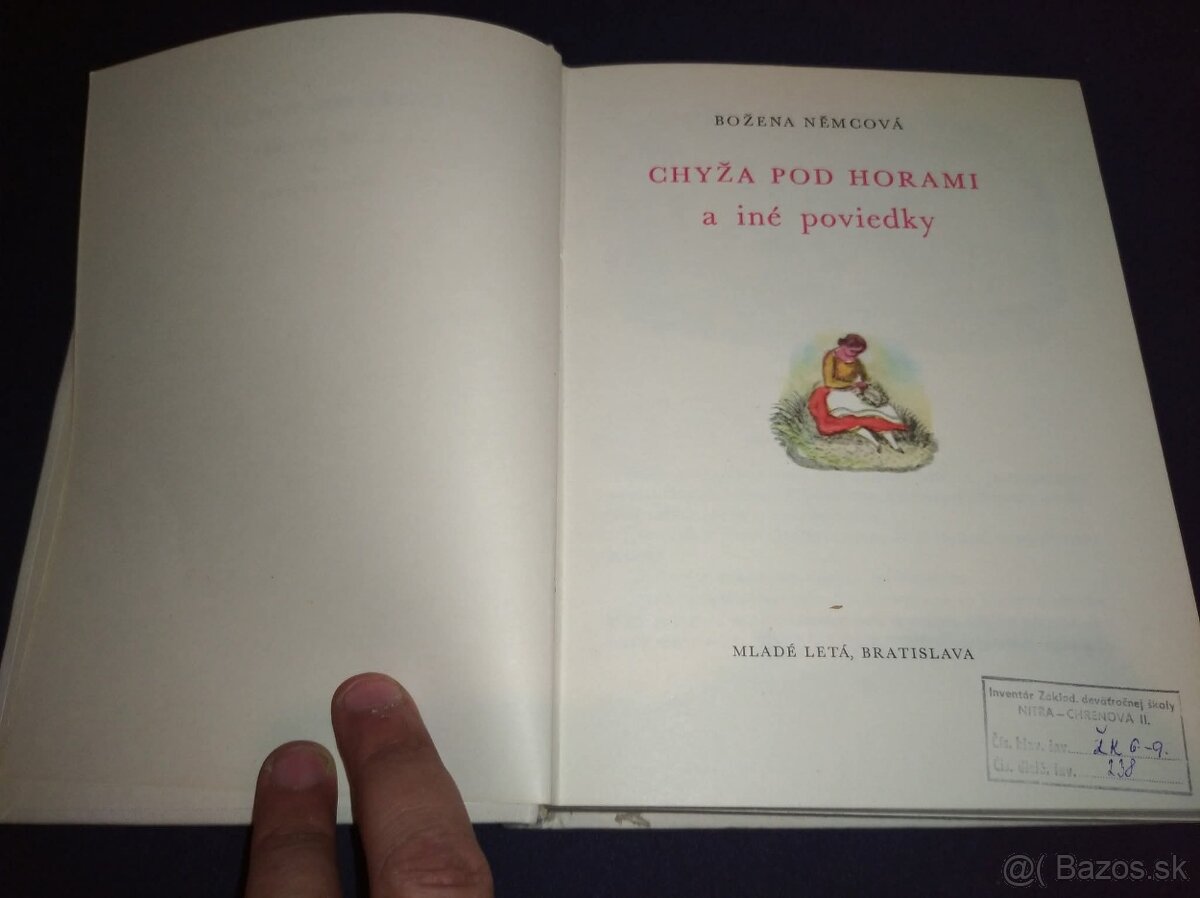 Chyžna pod horami - 2