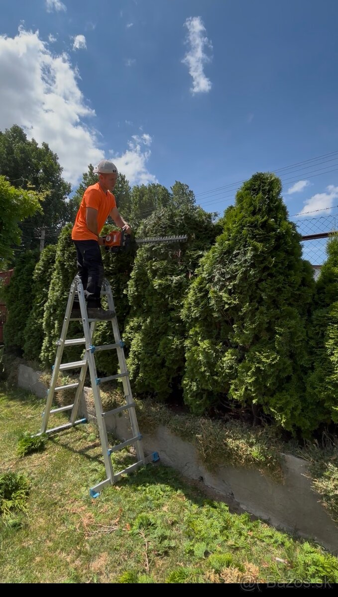 Úprava záhrad a živých plotov, vypiľovanie tují, kosenie - 2
