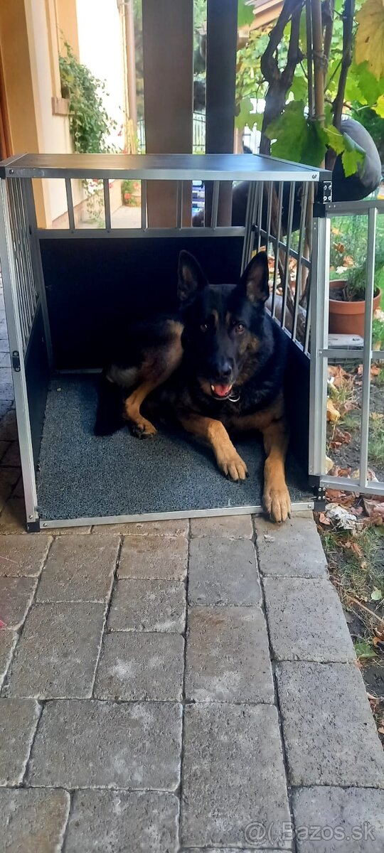 Alu prepravka pre vacsieho psa - 2