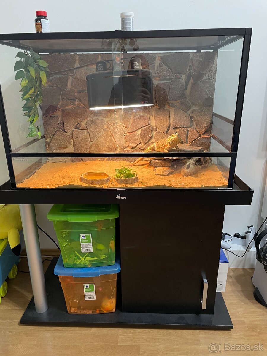 Terarium/stolik/agama - 2