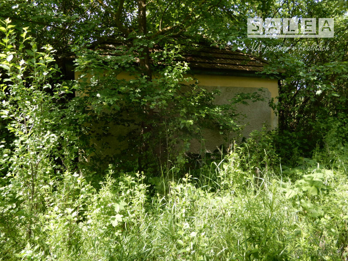 Vinica na predaj, 2500 m2, Farná, okr. Levice - 2