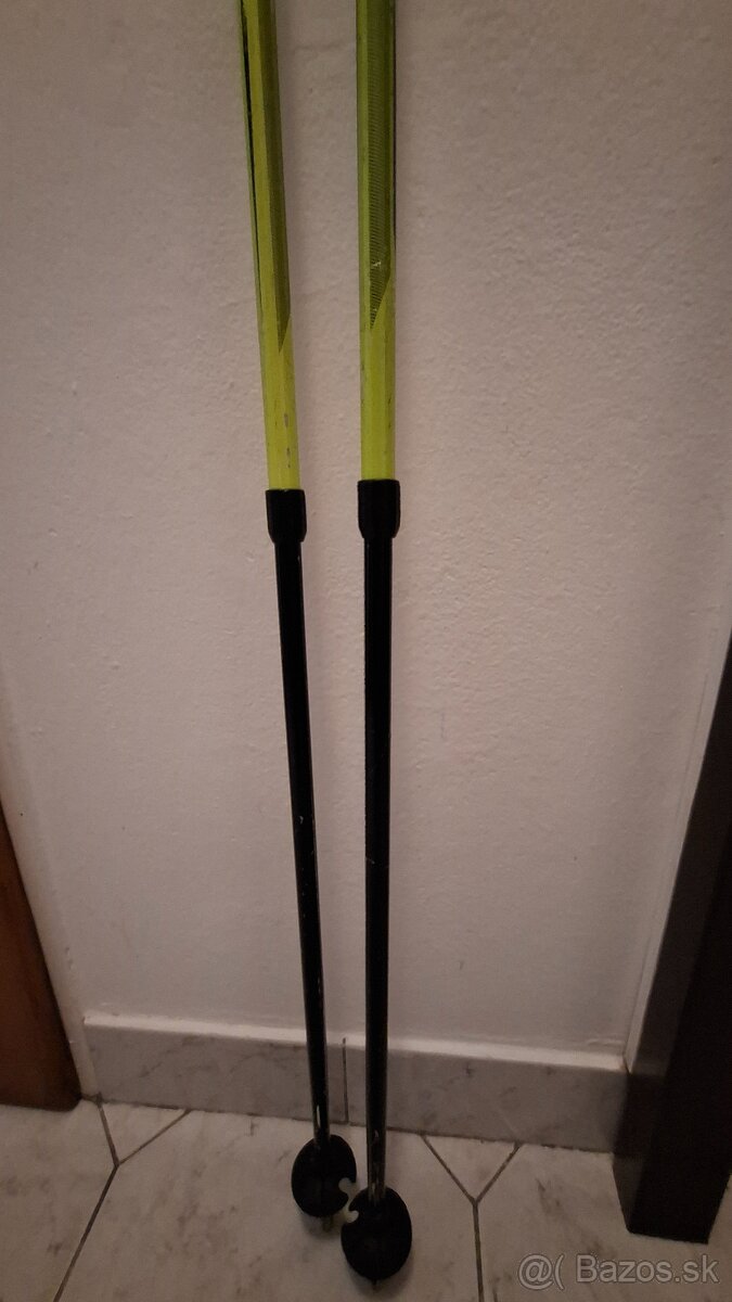 Lyžiarske paličky - 2