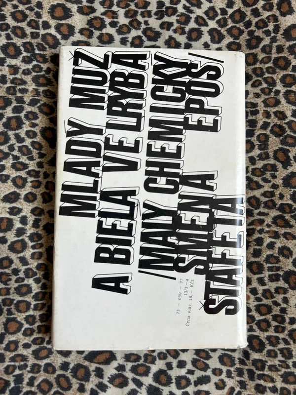 Mladý muž a biela veľryba - Vladimír Páral r.1977 - 2