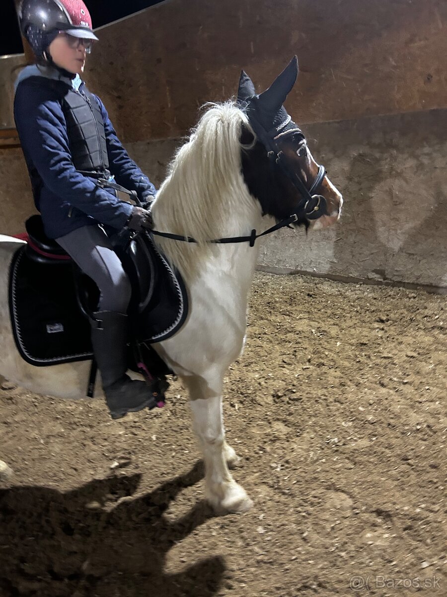 Predam pony k detom- aj do sportu. - 2