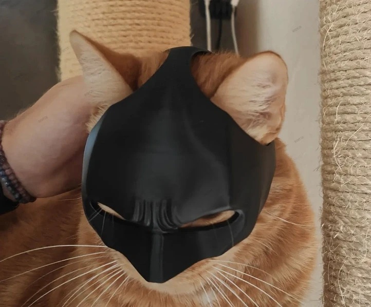 Batman maska pre mačku - 2