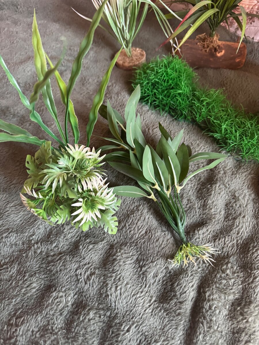 Dekoracia do akvaria & teraria 8€ / ks - 2